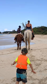 St. Johns - Antigua (1)