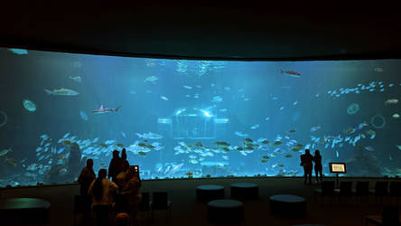 Aquarium Poema Del Mar - Las Palmas de Gran Canari