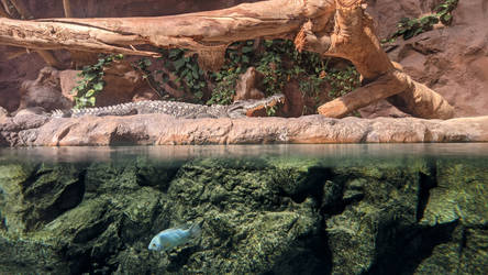 Aquarium Poema Del Mar - Las Palmas de Gran Canari