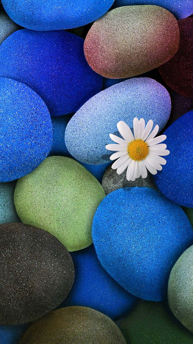 Stone Flower Wallpaper Iphone 6s Plus By Deviantsith17 On Deviantart