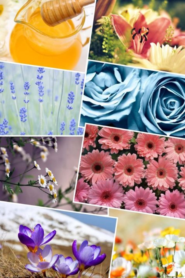 Floral Collage 1