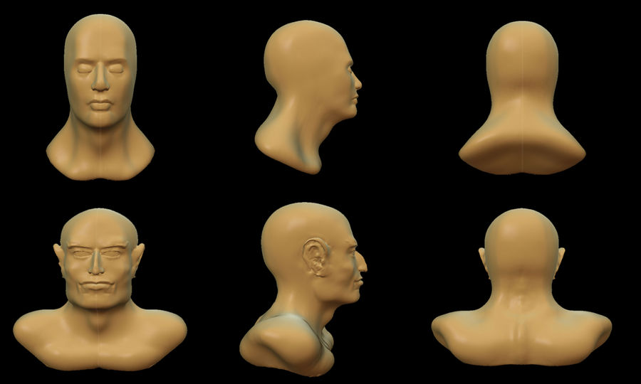 Head model and Theran bust by C-Hillman