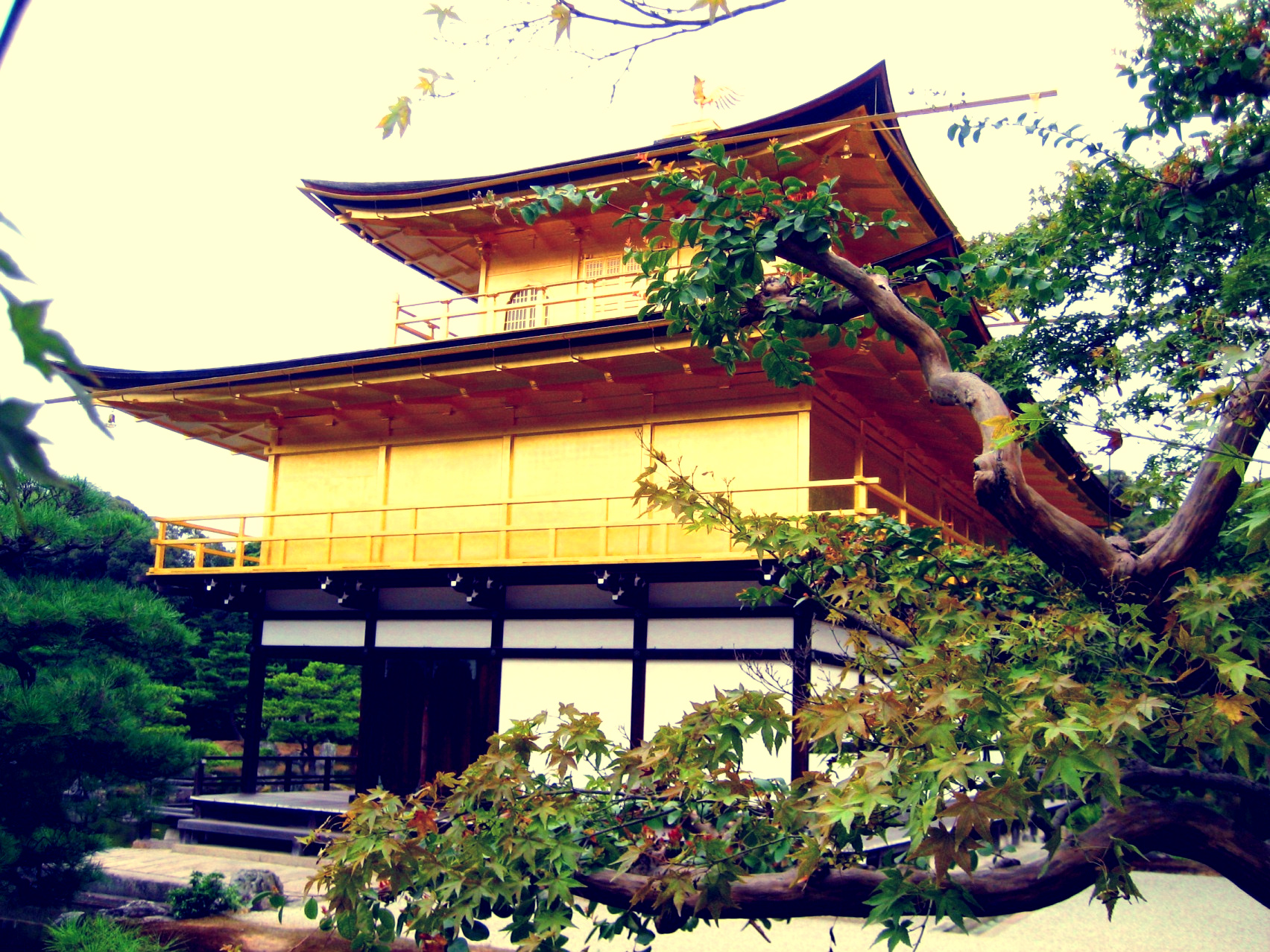 Kinkaku ji