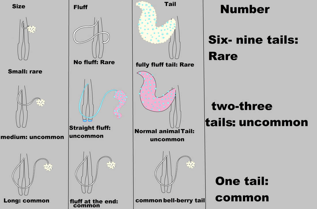 Flor Tails Graph Land Animal Bell-berry Tail Chart by Cannibal22334455 on DeviantArt