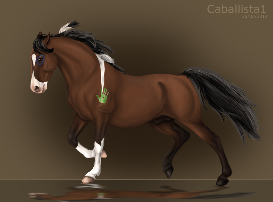 Caballo indio