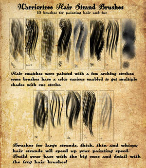Warriortree Hair Brushes Premium
