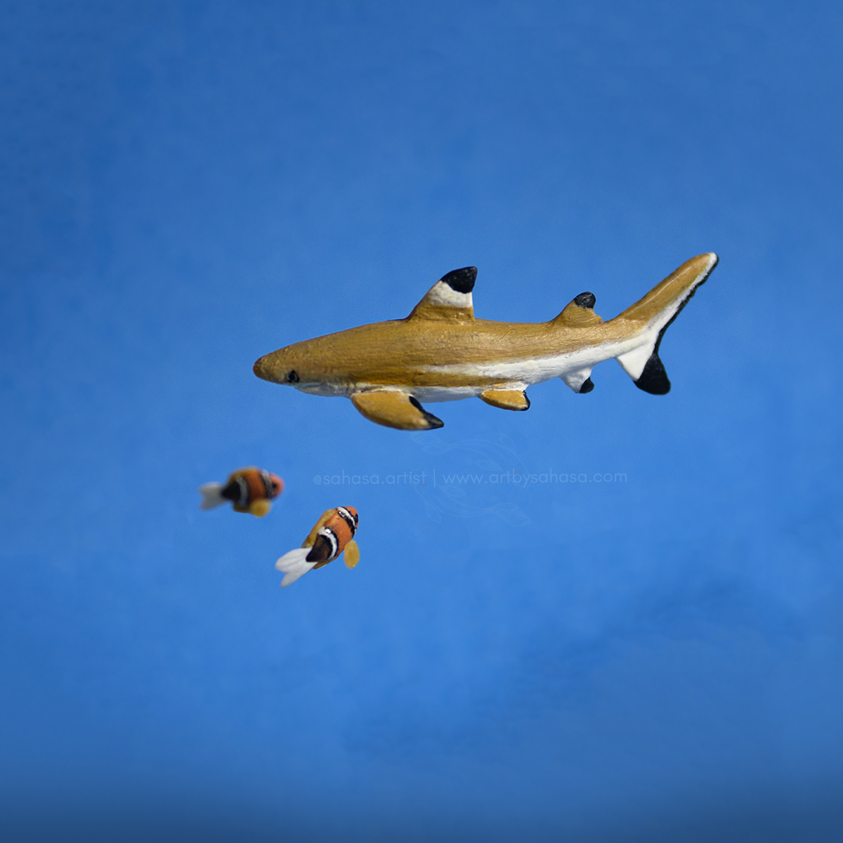 2019 -Black Tip Reef Shark, Clarks - Sculptures by artbysahasa on DeviantArt