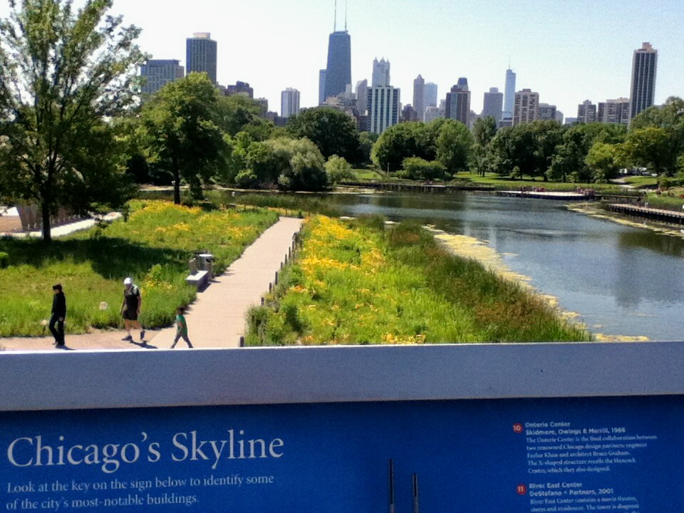 Chicago Skyline III