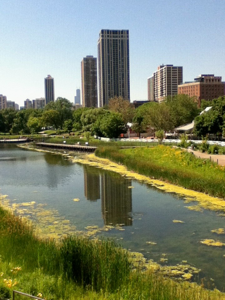 Chicago Skyline IV