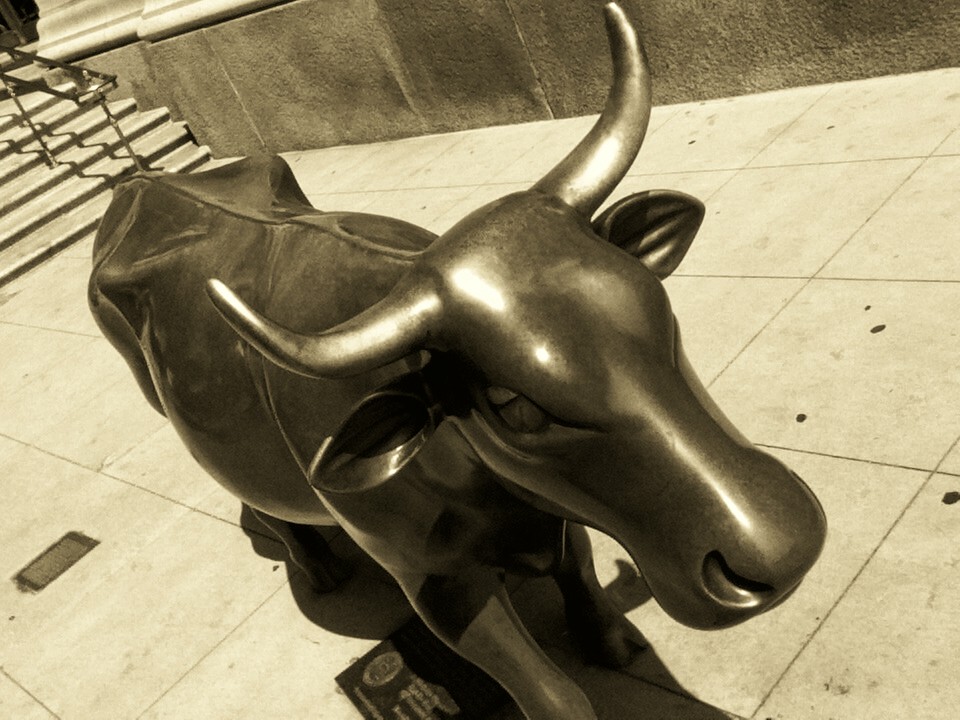 Bull II