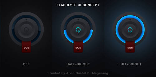 FlashLyte UI Concept