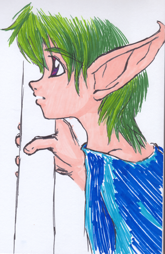 Sharpie elf boy