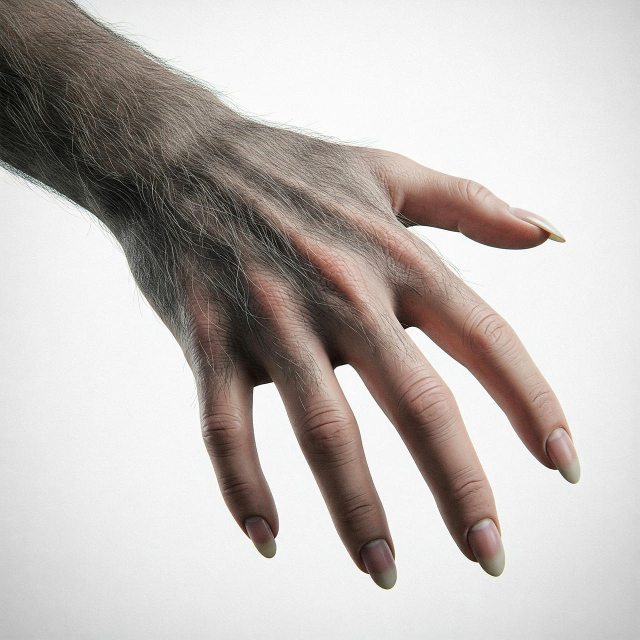 Beast Hand Pinterest Hand 2 by DrBeast110 on DeviantArt