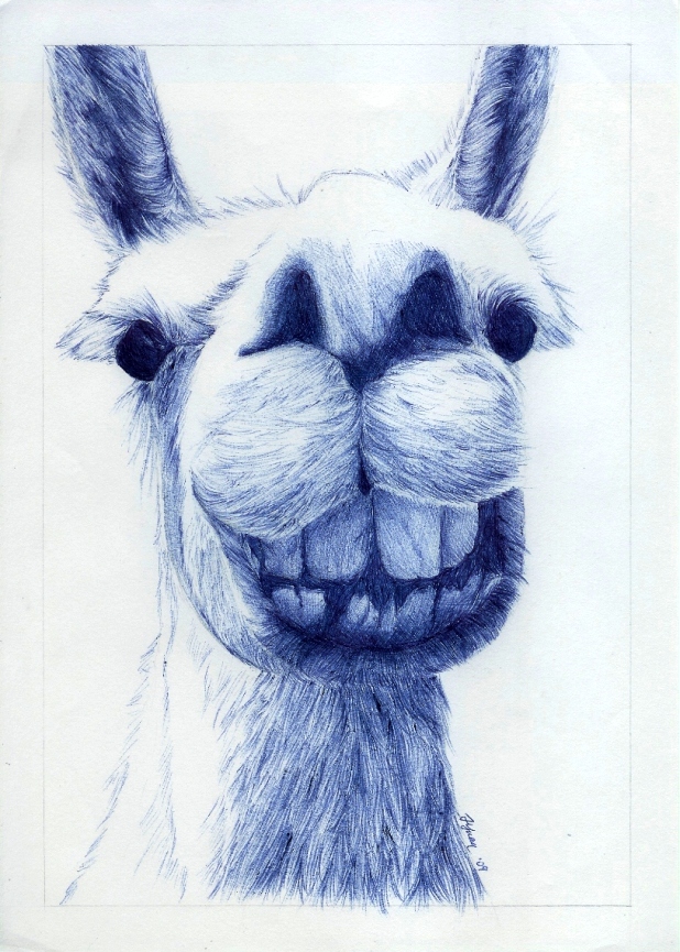 Just Smile - Biro