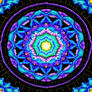 Random233