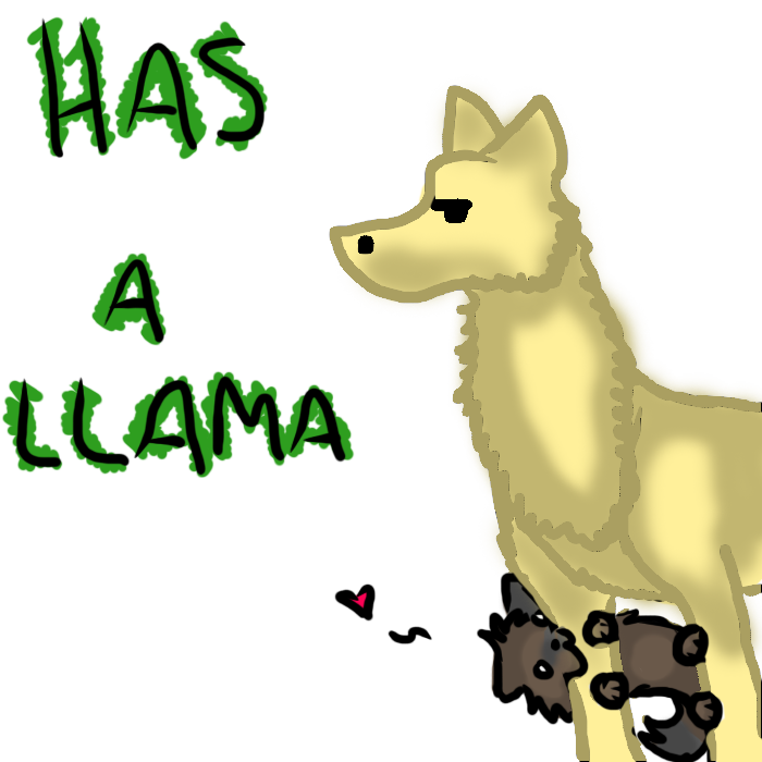 I HAS A LLAMA