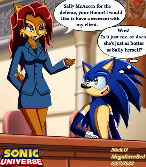 Sally McAcorn Helps With Sonic's Case