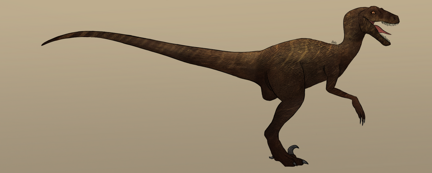 Novaraptor Render Dusty~ Novaraptor Skin by AsteriaSternvalx on DeviantArt
