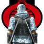 Storm Shadow