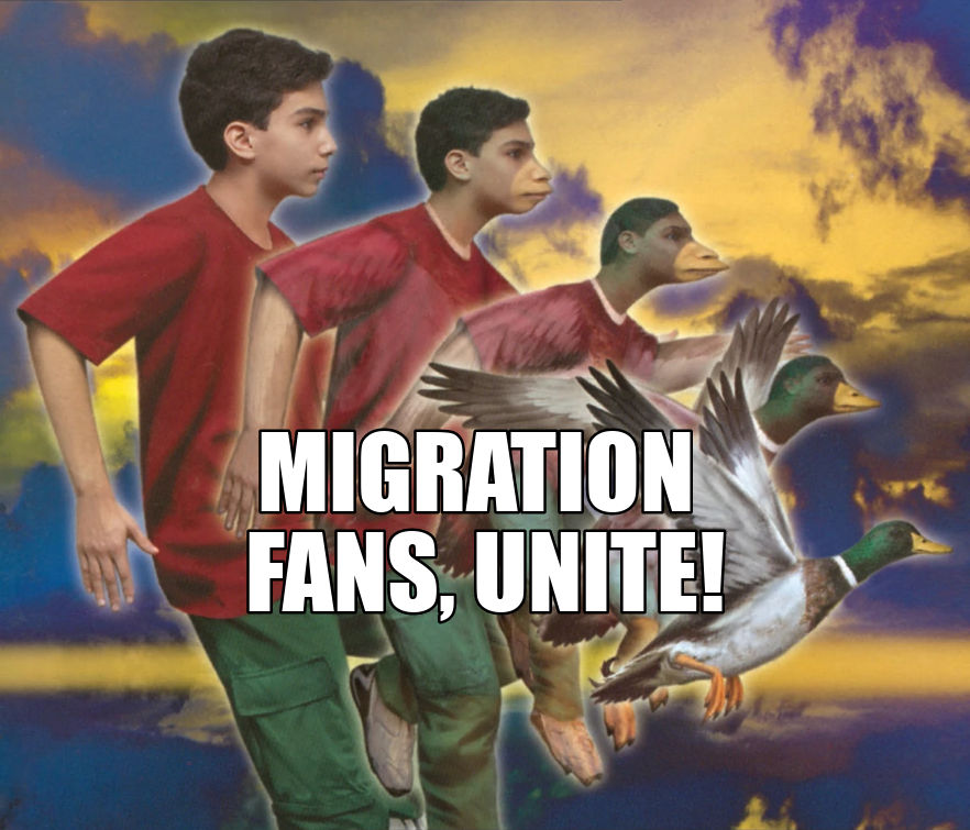 Migration Meme by ZoomerTube on DeviantArt