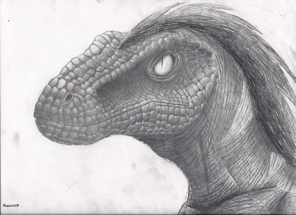 Raptor Portrait by Reptile682 on DeviantArt