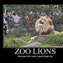 laughing zoo lions