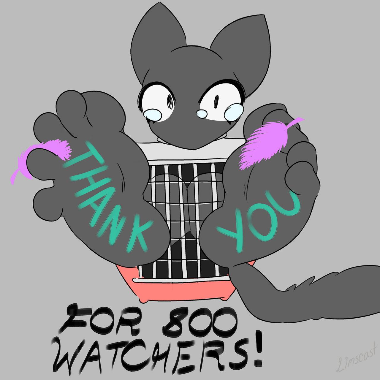 800 watchers