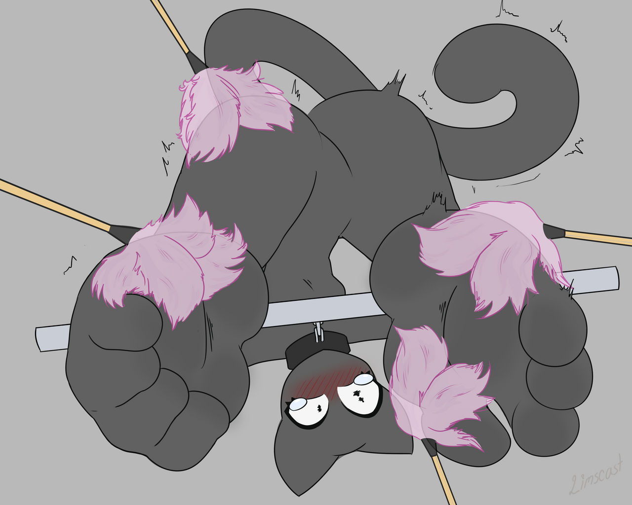 Kitty's cleaning process