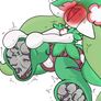 Petallia Can't Catch A Break
