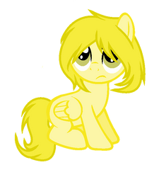 Butter pony-adopted