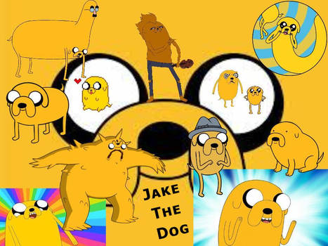 Jake The Dog!