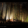 Light Rays