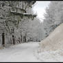 Silesian Mountains Beskids