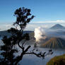 Bromo