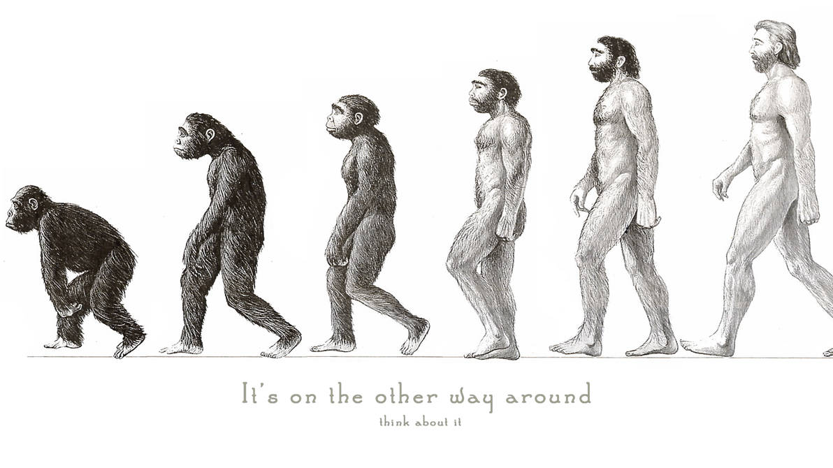 Деградация человека в рассказе. Теория эволюции Дарвина наоборот. Эволюция в обратную сторону. Эволюция от обезьяны до человека. Человек превращается в обезьяну.