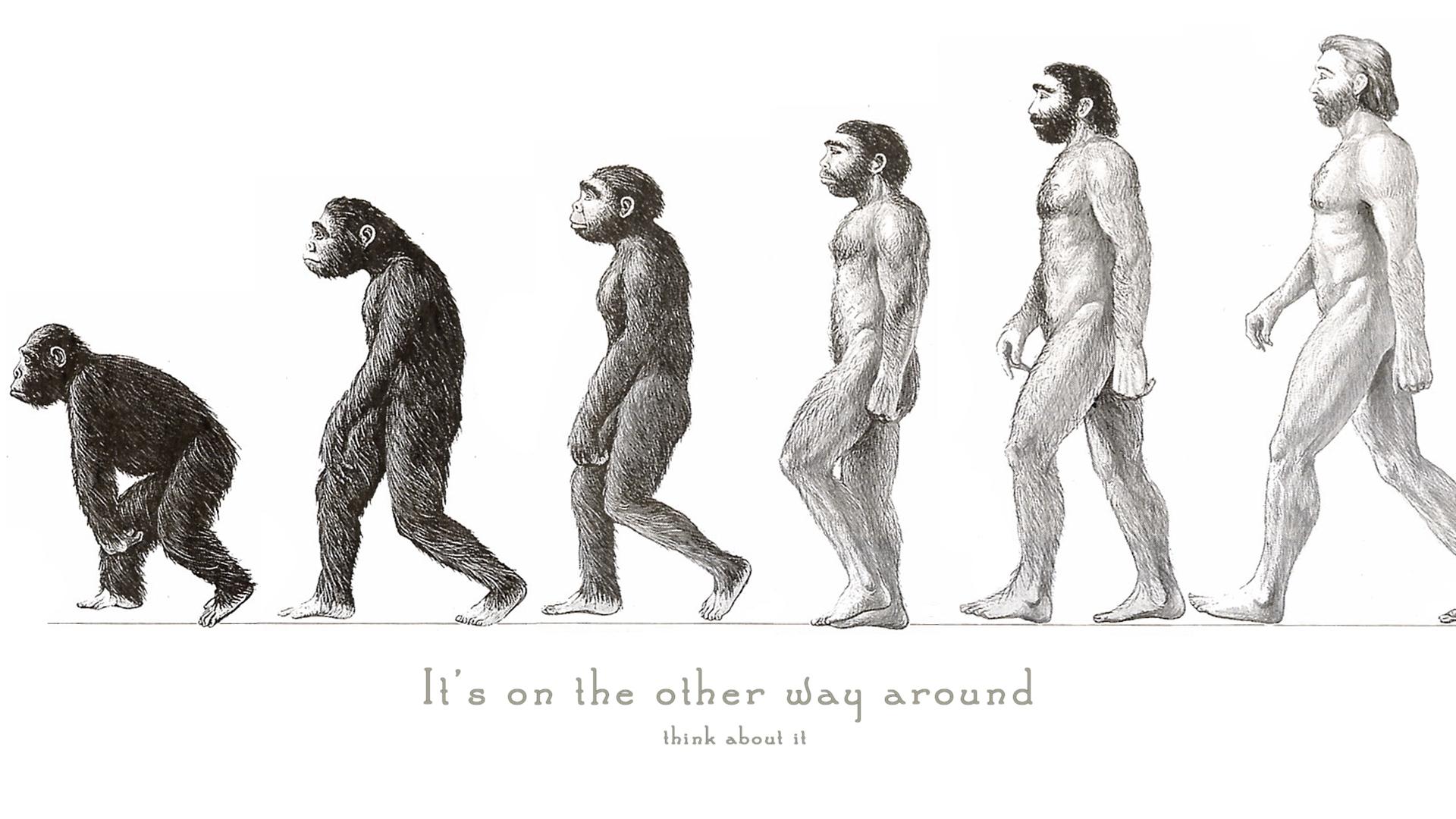 Devon Evolution dEVOLUTION by discouragedone on DeviantArt