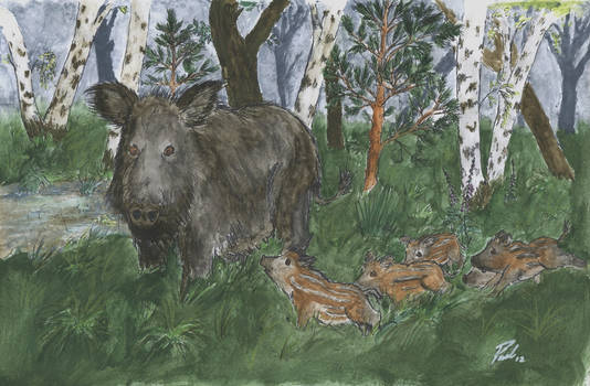 Wild sow with piglets (Bache mit Frischlingen)