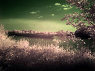 River Barge in Infrared