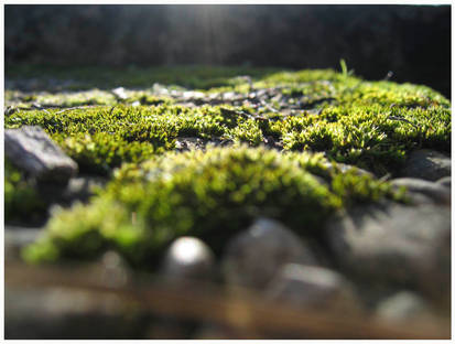 Moss stone