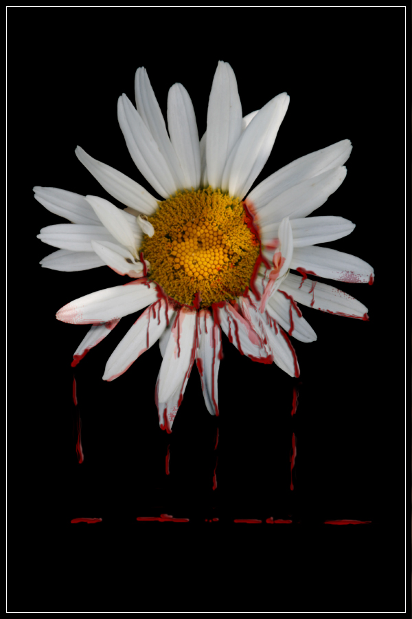 Grandmaster of flowers by bloodflow666 on DeviantArt