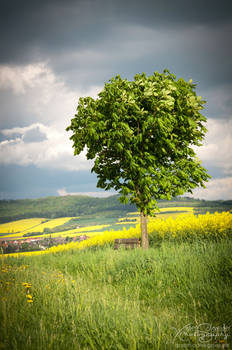 Avant l'orage