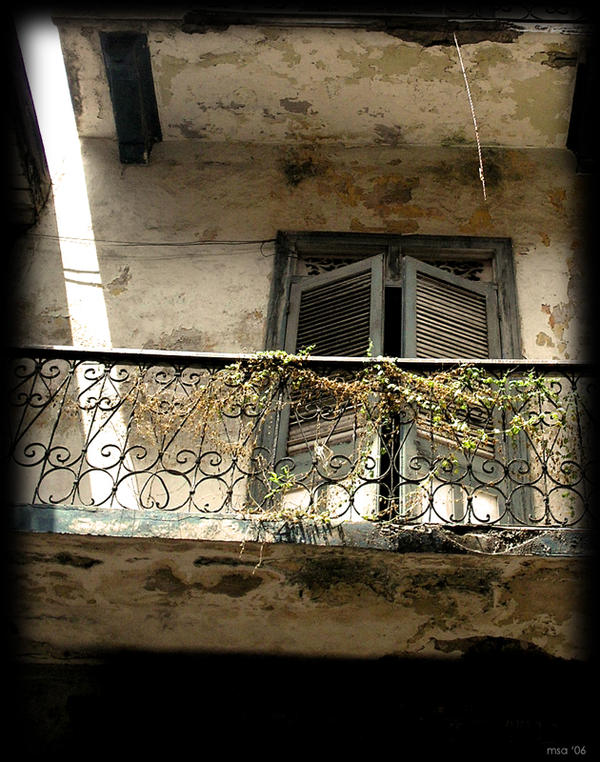 Piedritas en la ventana