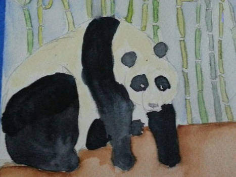 Sad Panda