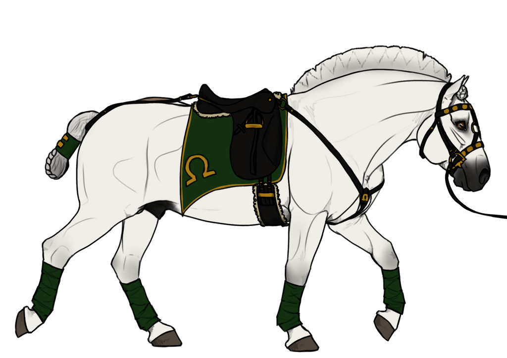 SlightlyMad's Baroque Riding Set by SlightlyMadStables on DeviantArt