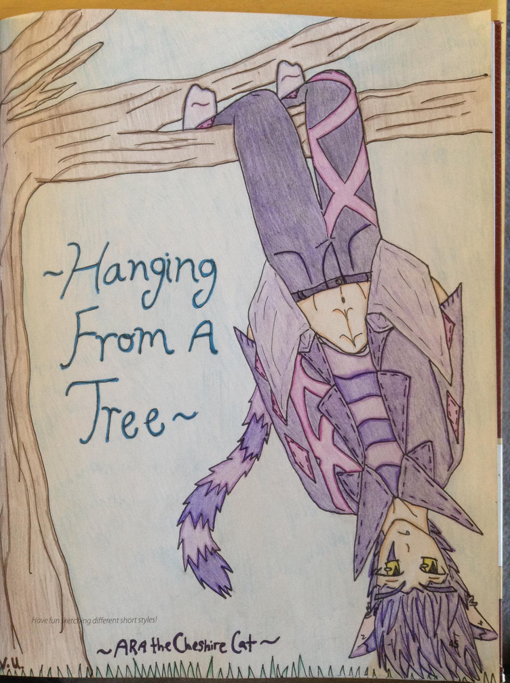 Hanging From A Tree