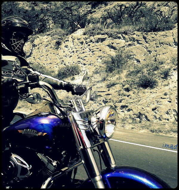 Spider Rider by imadcode on DeviantArt