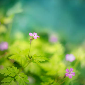 A delightful rest in the forest by wiwionart A delightful rest in the forest by wiwionart