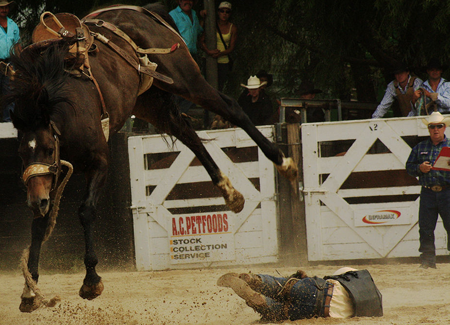 Bored Rodeo rodeorodeo by ZephyrZephoiLotteh on DeviantArt