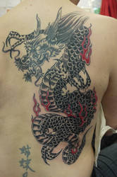 cover up gragon