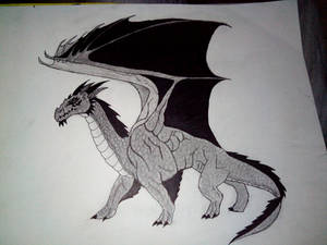 Dragon!!!!!!!!!!!!!!!!!